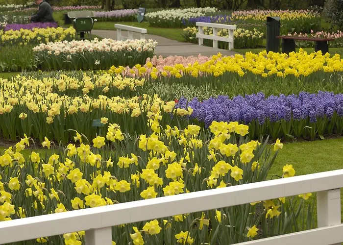 De Zonnehoed 2* لِسِه