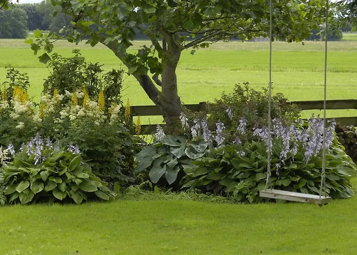 De Zonnehoed فندق مبيت وإفطار 2*