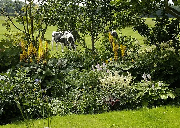 De Zonnehoed فندق مبيت وإفطار 2*