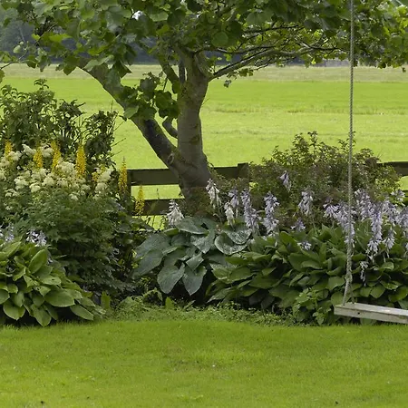 De Zonnehoed Bed & Breakfast 2*