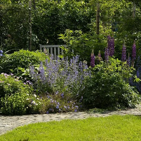 De Zonnehoed 2* Lisse