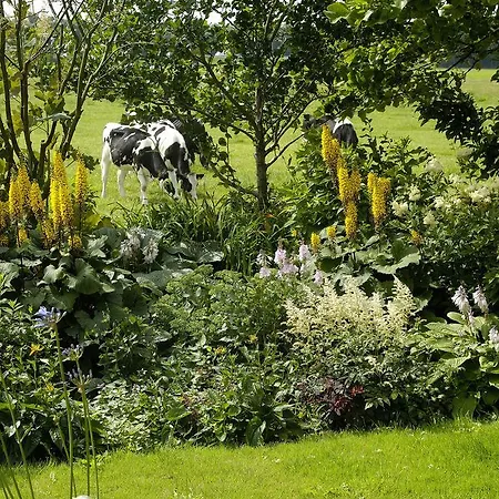 De Zonnehoed Bed & Breakfast 2*