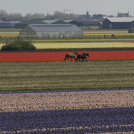 Bed & Breakfast De Zonnehoed Lisse