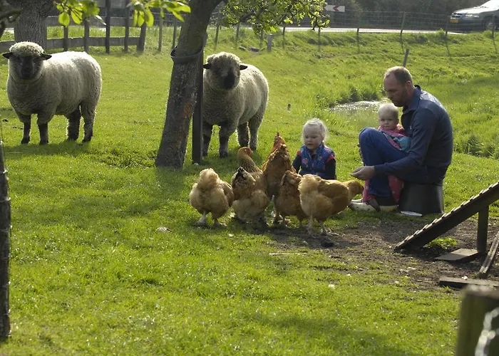 De Zonnehoed Alojamento de Acomodação e Pequeno-almoço 2*