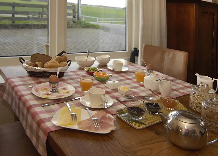 De Zonnehoed 2* Lisse