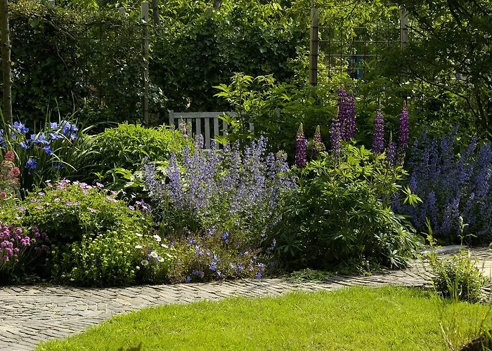 De Zonnehoed 2* Lisse